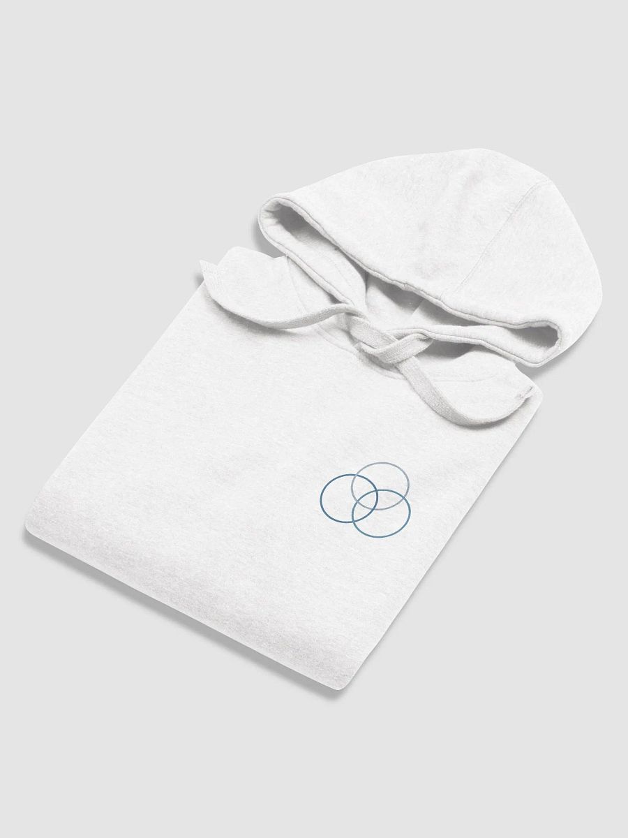 Kalkstein Chiropractic Comfort Hoodie (Blue Logo Print) product image (45)