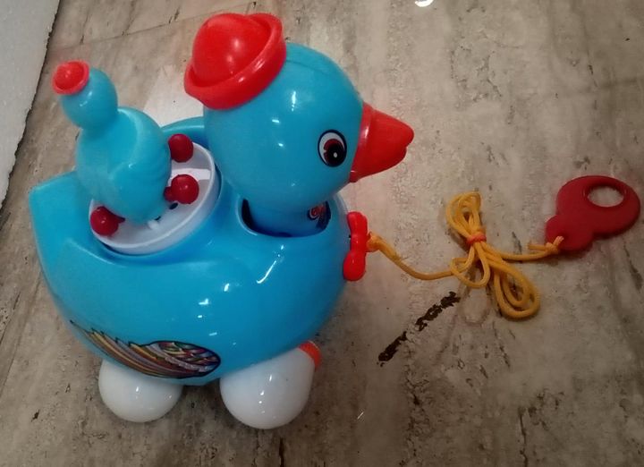 ACTION DUCK TOY product image (2)