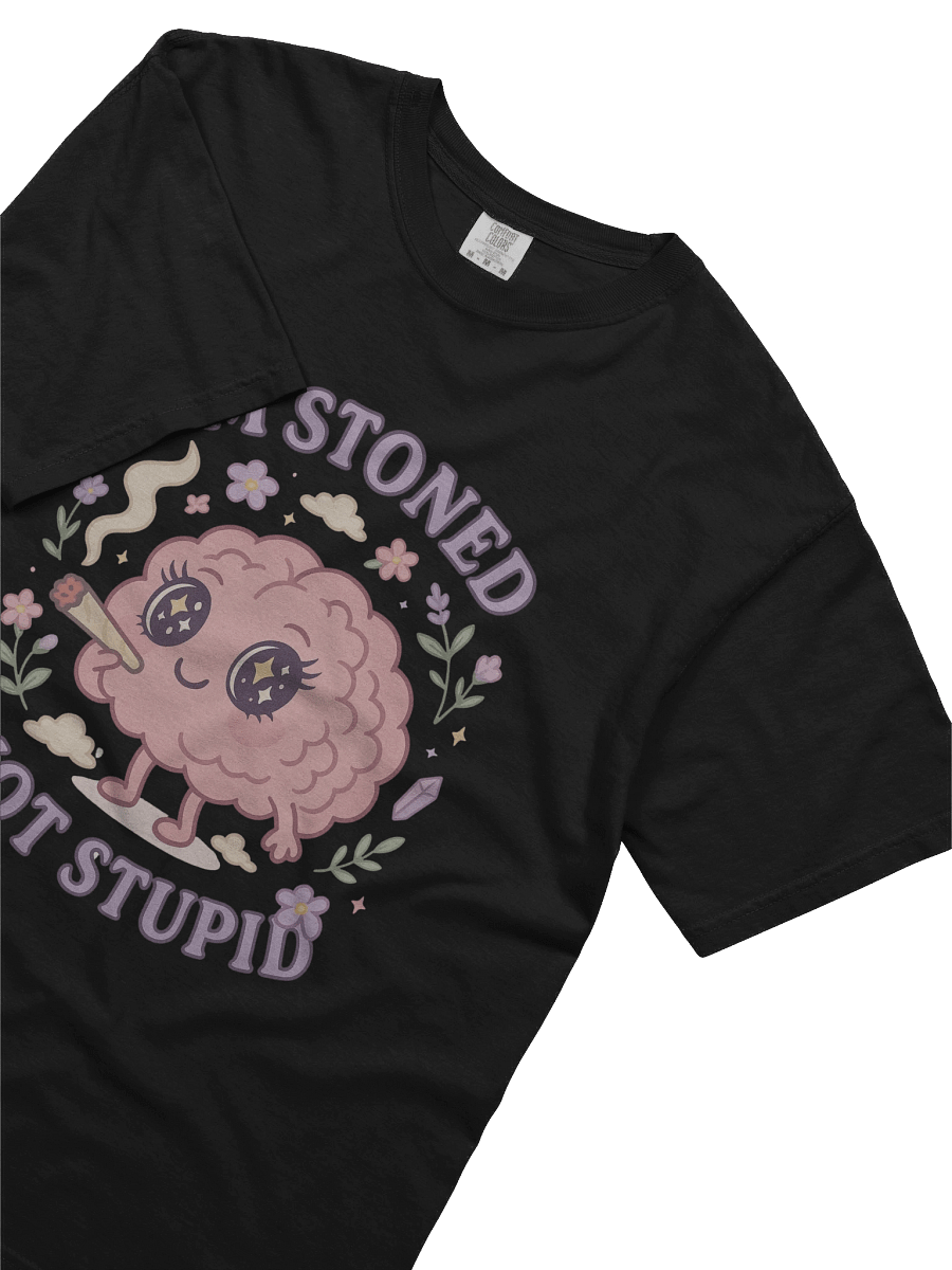 “I’m Stoned, Not Stupid” T-Shirt product image (5)