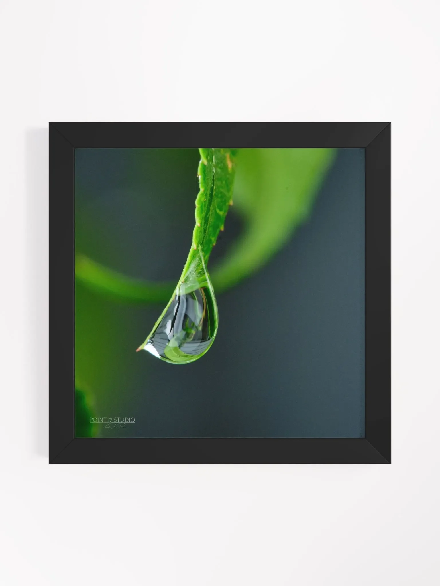 Dew Gems #4 - Framed Print product image (1)