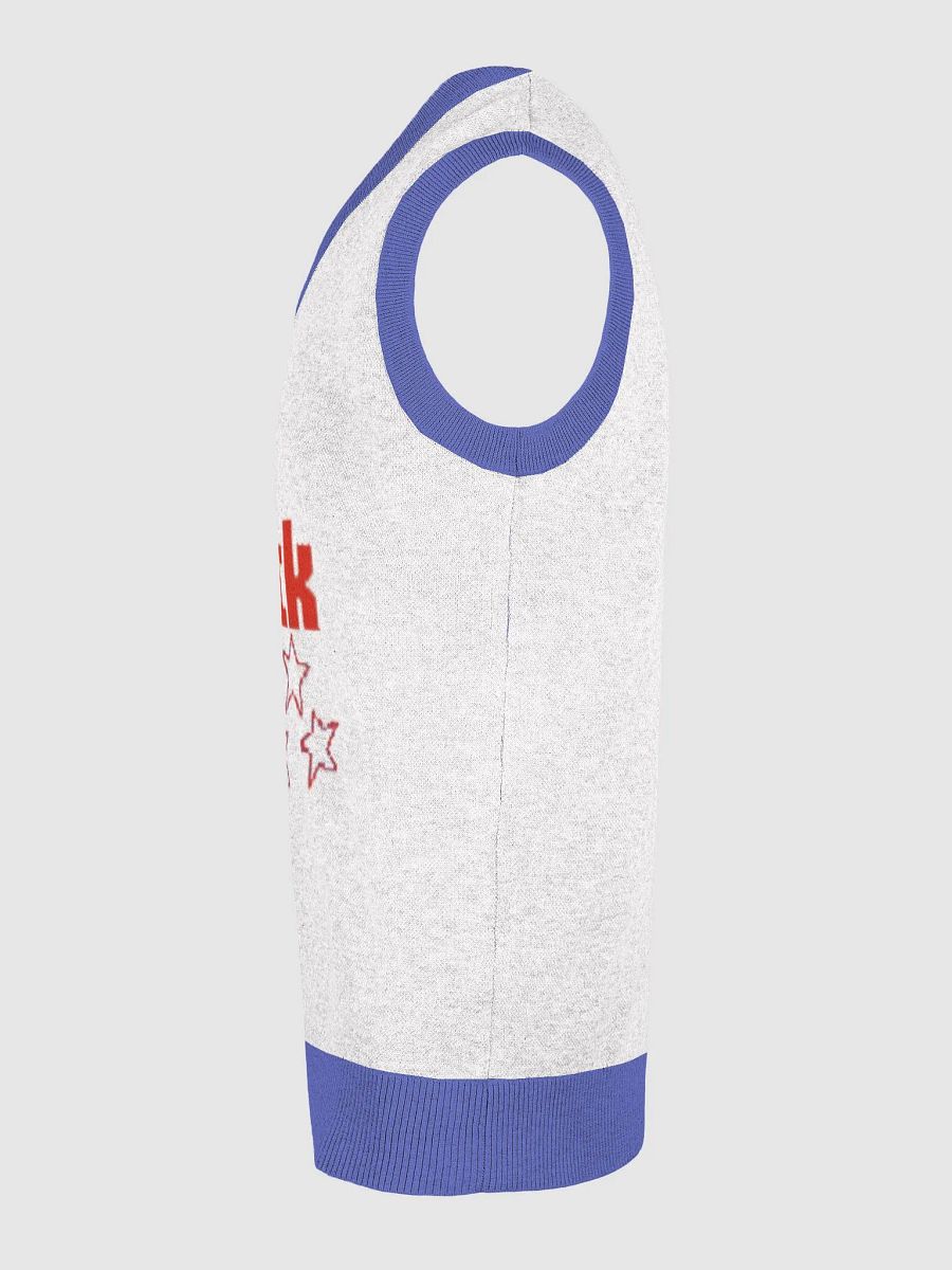 Homesick: Logo Sweater Vest product image (27)