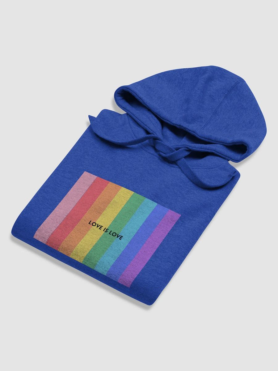 Love is Love Hoodie. product image (54)