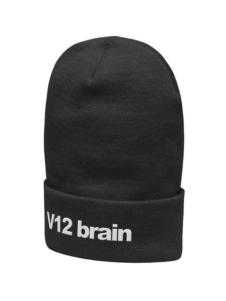 V12 Beanie product image (2)