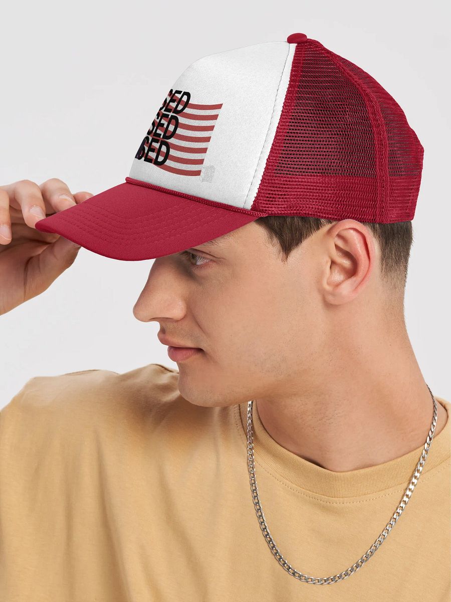 BASED American Flag Mugshot ~Trucker Hat~ product image (7)