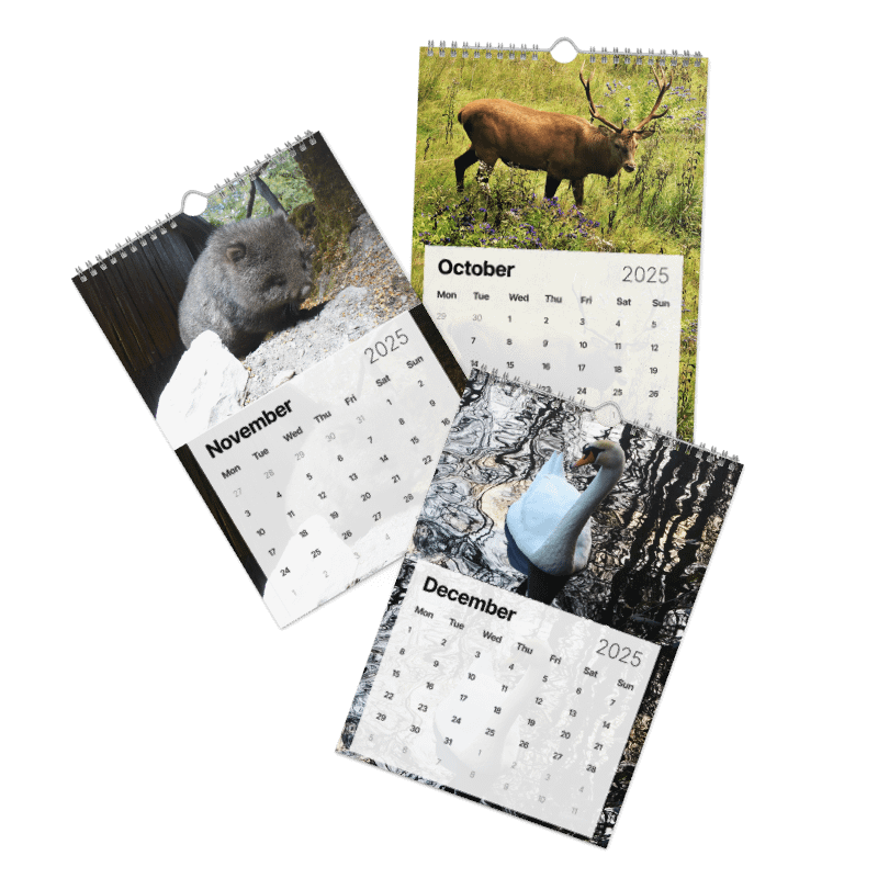 Calendar 2025 - Animals from around the world product image (5)