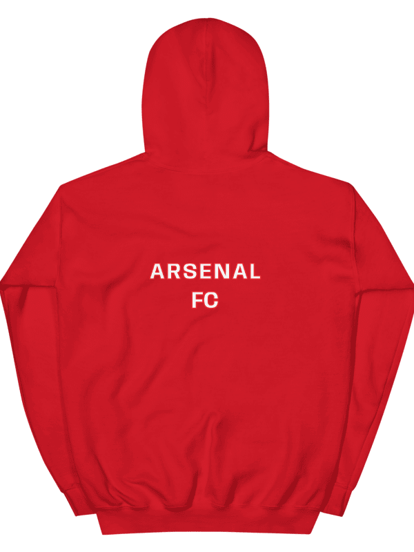 ARSENAL FAN - TEA UNISEX HOODIE (RED) product image (6)