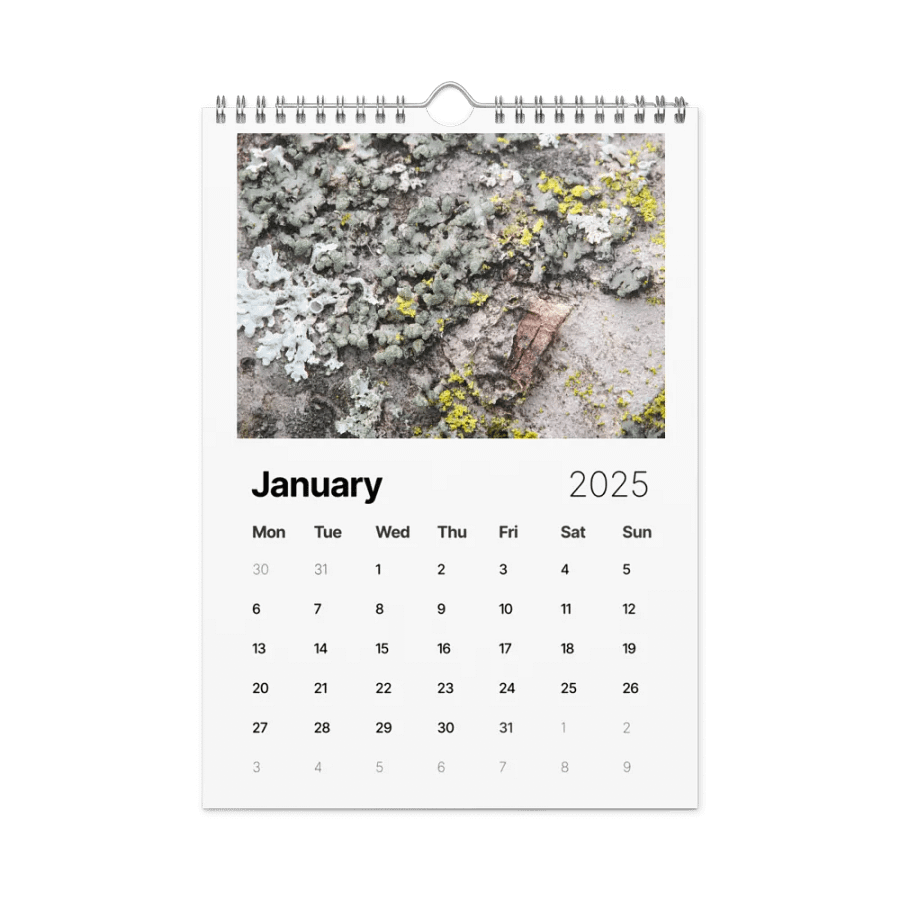 Likin' Lichen 2025 Wall Calendar product image (2)