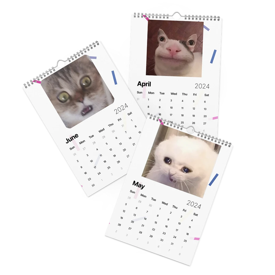 Wall Calendar (2024): Meme Cats product image (3)