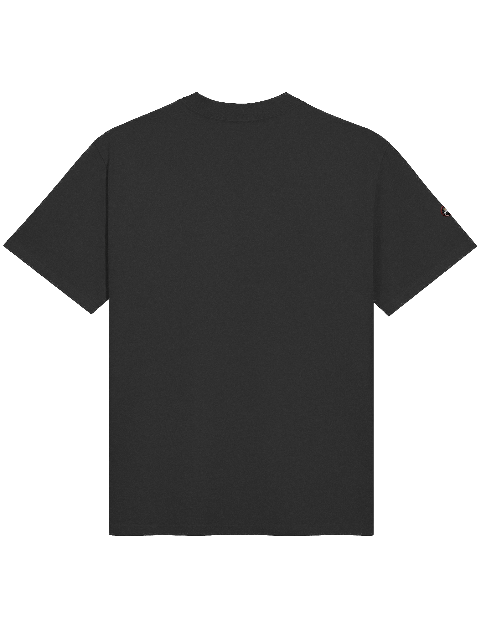 Royal Emblem Oversized Tee product image (4)
