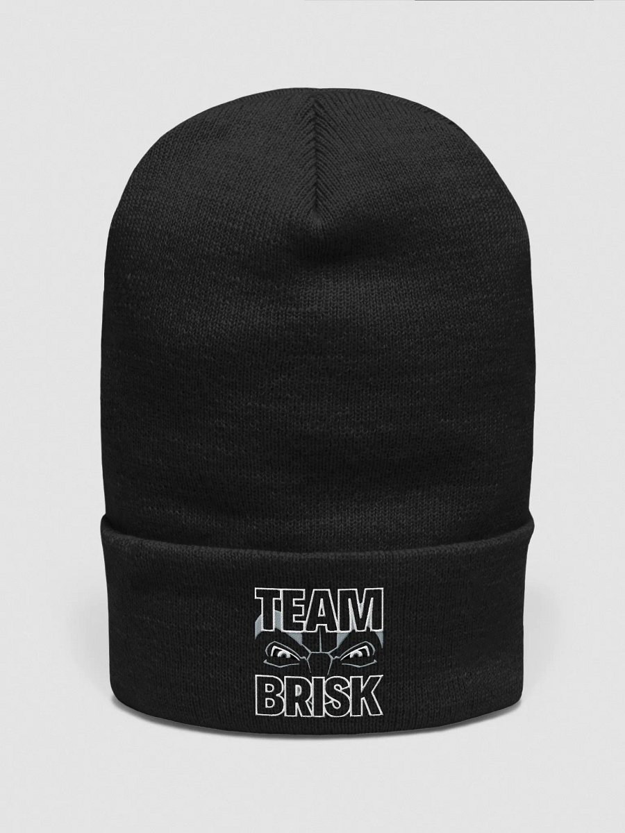 Team Brisk Tall Beanie product image (2)