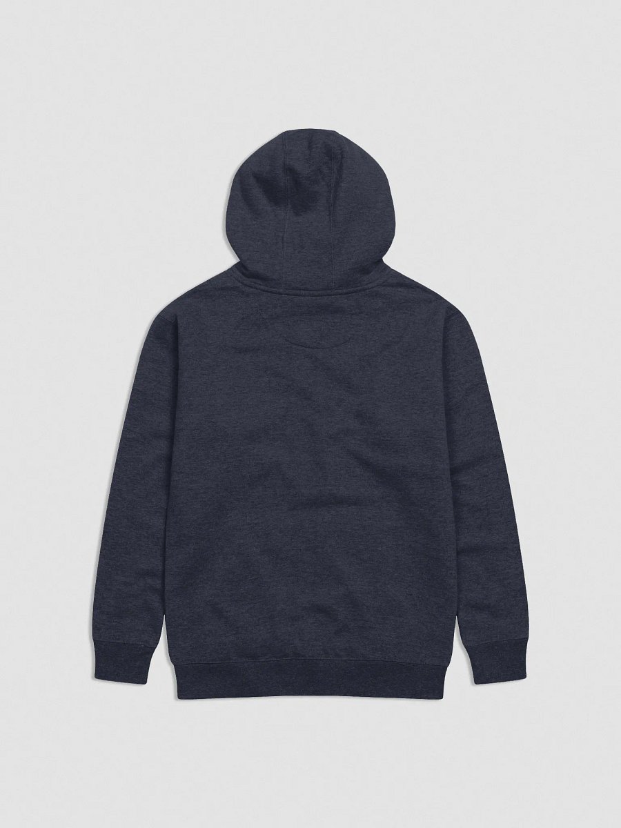 DROP DAY EMBROIDERED HOODIE product image (2)