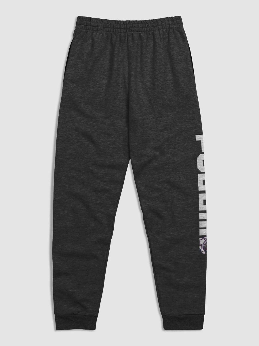 Astro Joggers product image (2)