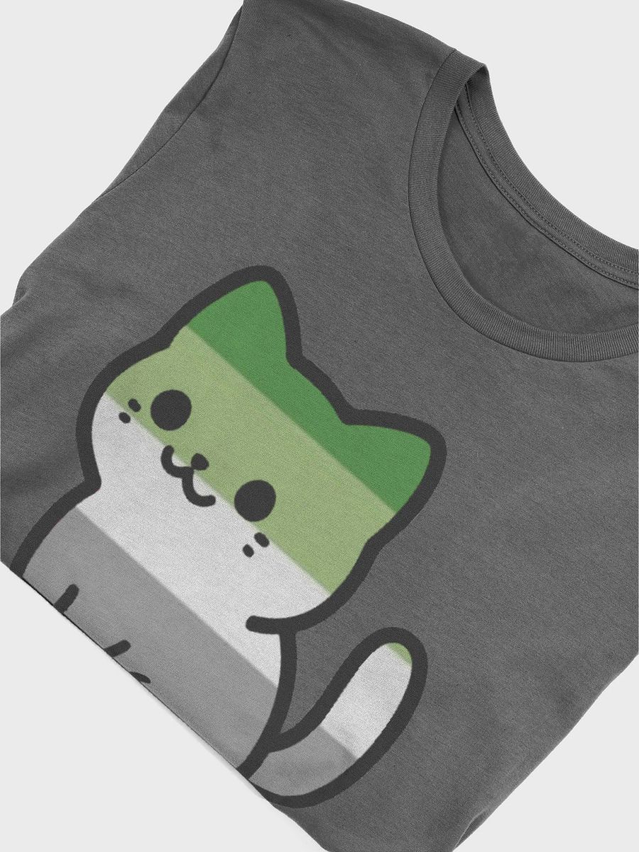Aromantic Pride Kitty Woman's Shirt product image (52)