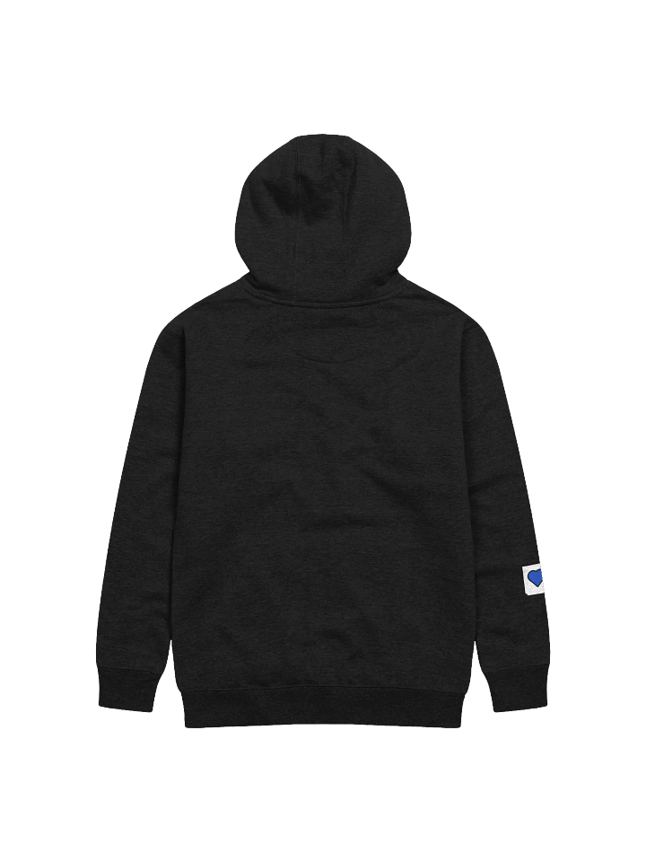 "Lil' Sasshole" Original Hoodie product image (2)