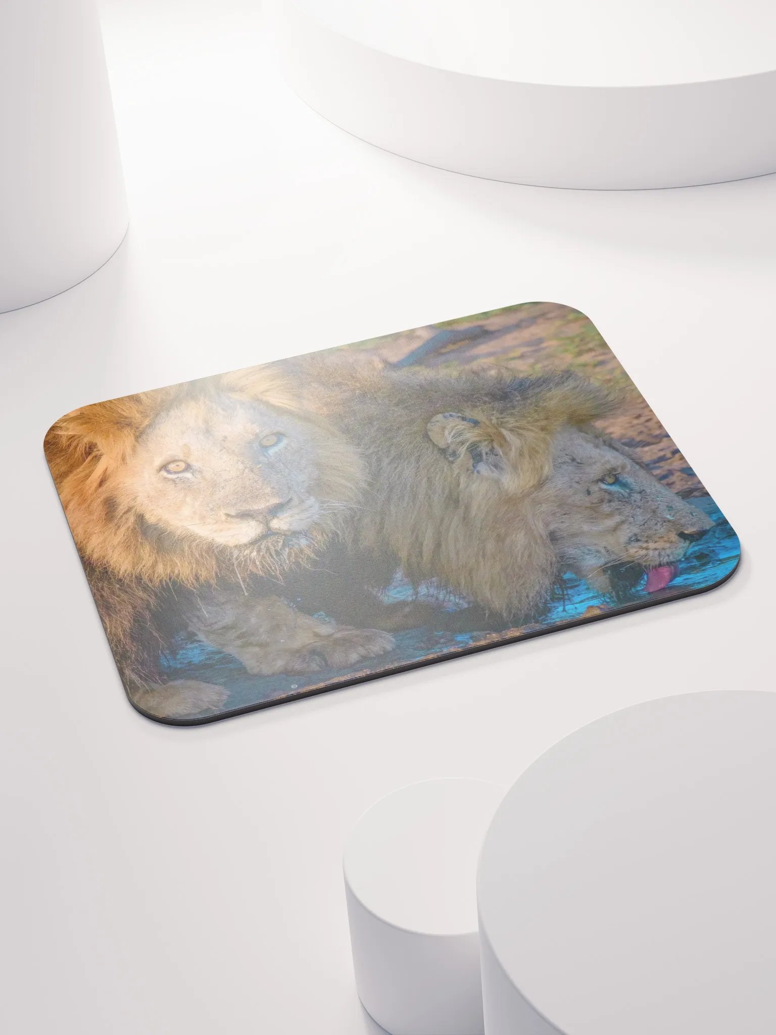 Unique mouse pad with two male lions from Kruger Park product image (4)