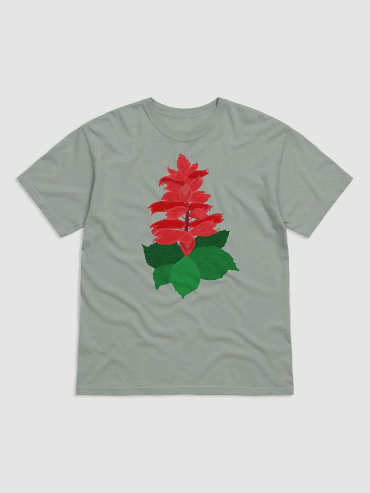 Salvia Splendens product image (1)
