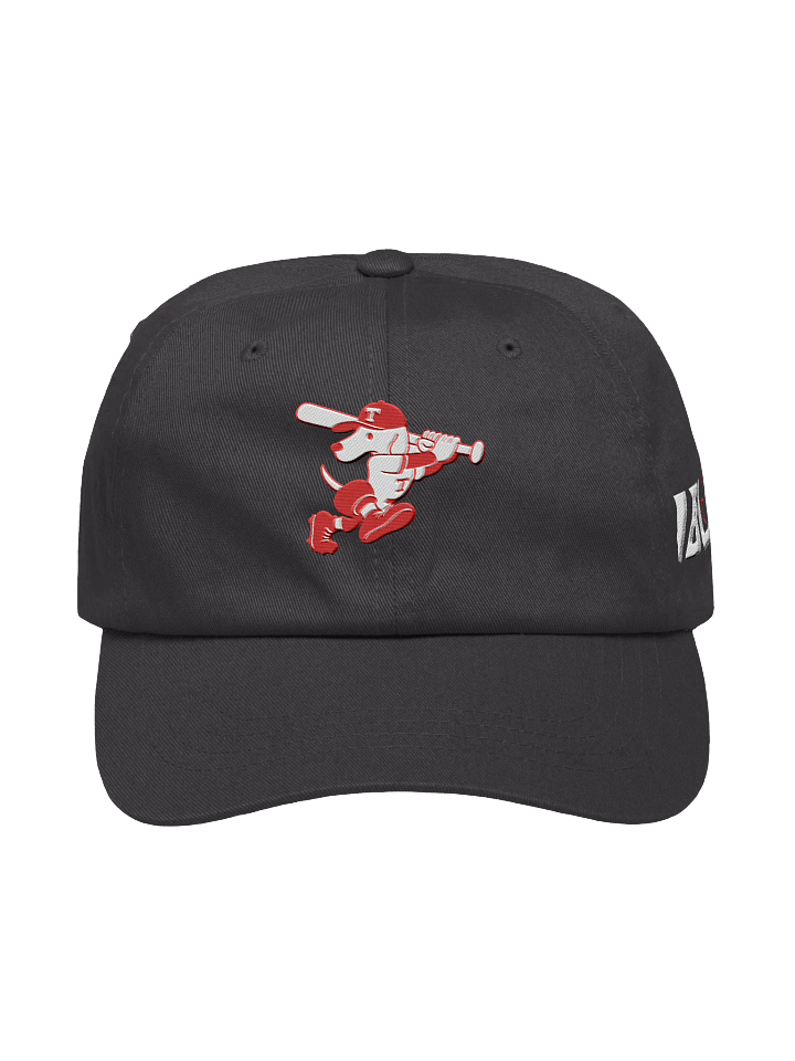 Galt Terriers Dad Hat product image (4)