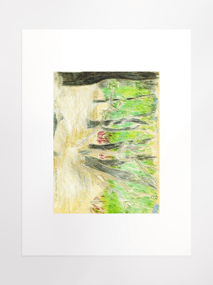 Cuyamaya Canyon State Park, CA 09.16.86 print product image (2)