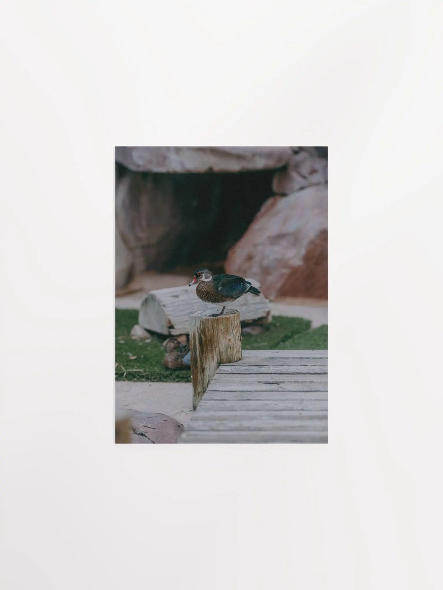 Bird #1 product image (3)