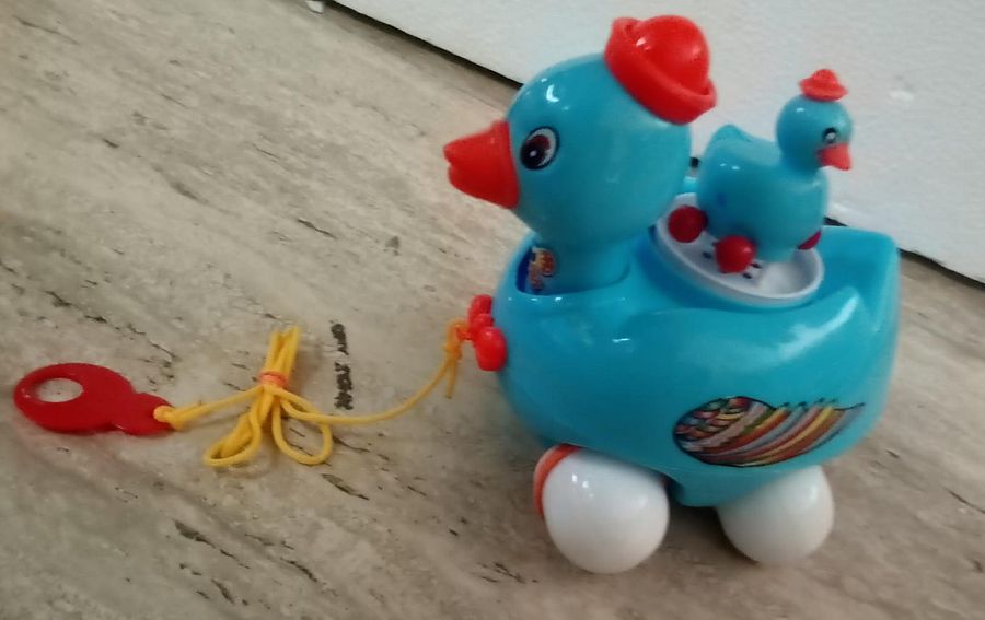 ACTION DUCK TOY product image (3)
