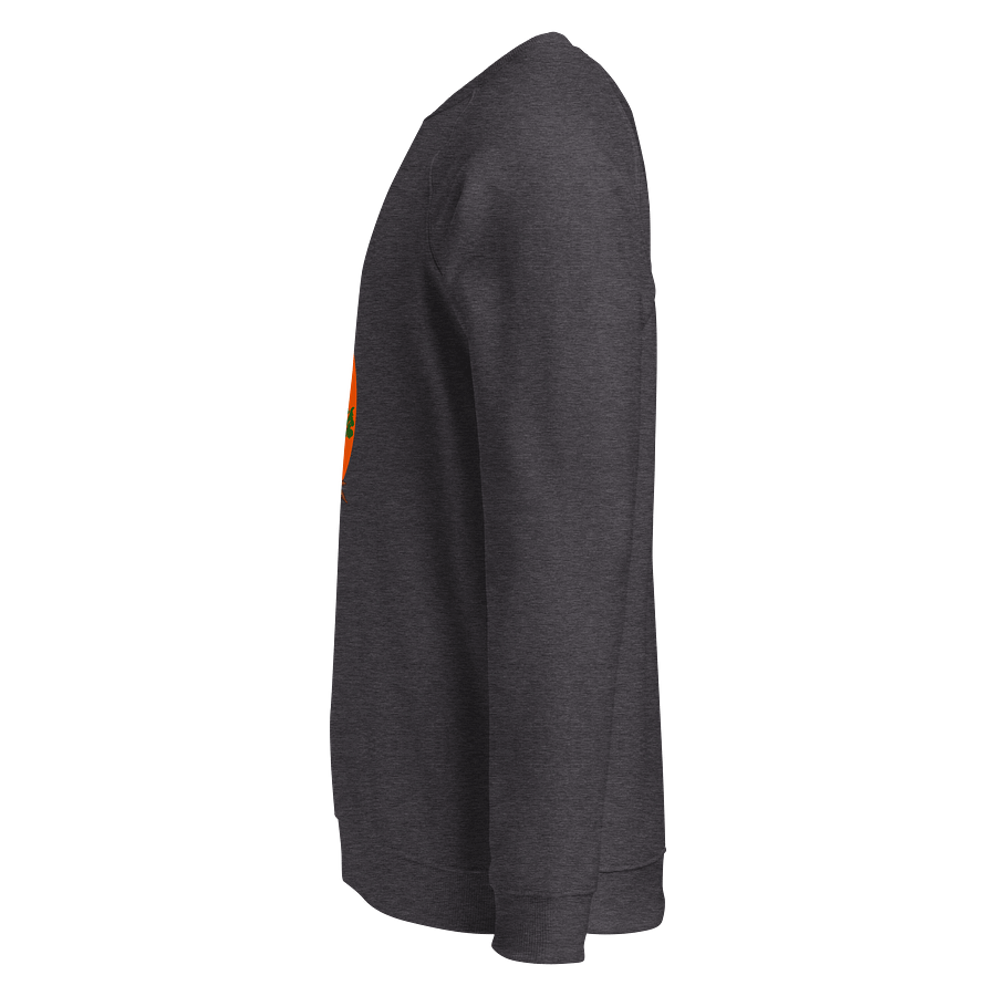 Sunrise Tree Organic Raglan Sweatshirt product image (3)