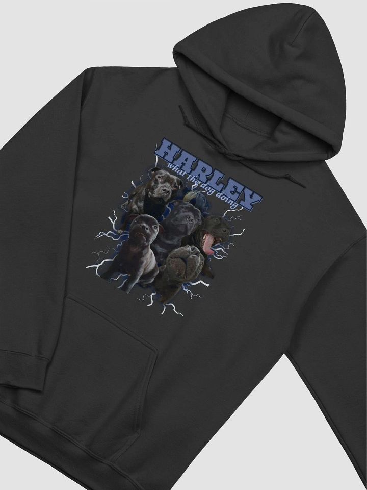 What the dog doin in da hood!? product image (13)