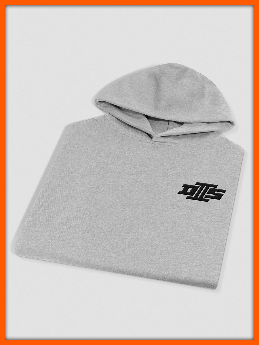 D2S "Coal" Hoodie product image (3)