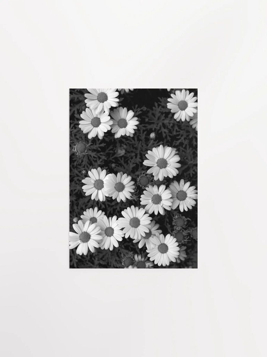 Margaritas - Enhanced Matte Paper Poster product image (1)