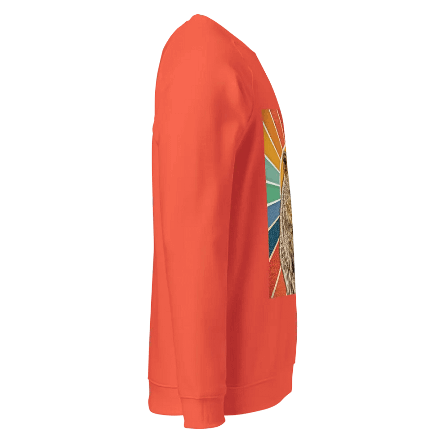 Sunburst Quokka Unisex Raglan Sweatshirt product image (16)