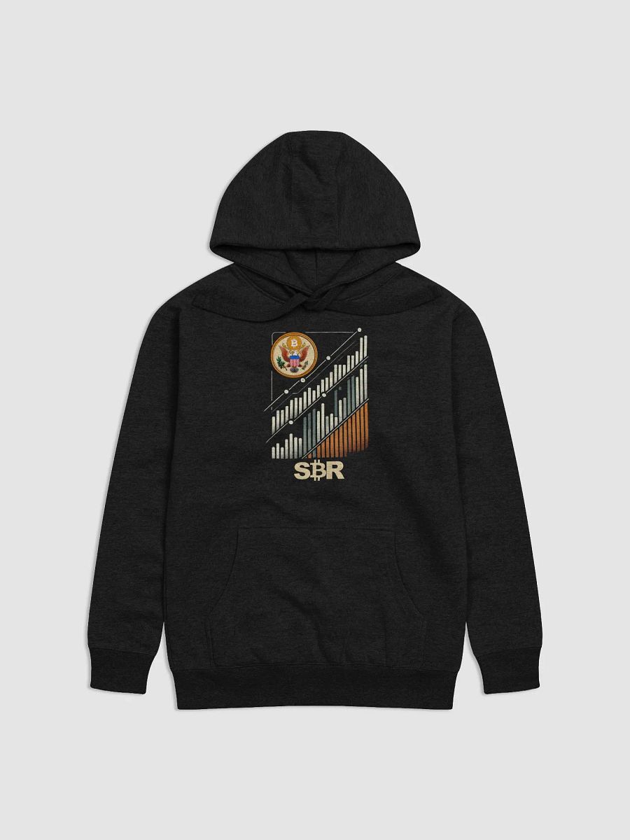 Chart Hoodie product image (1)