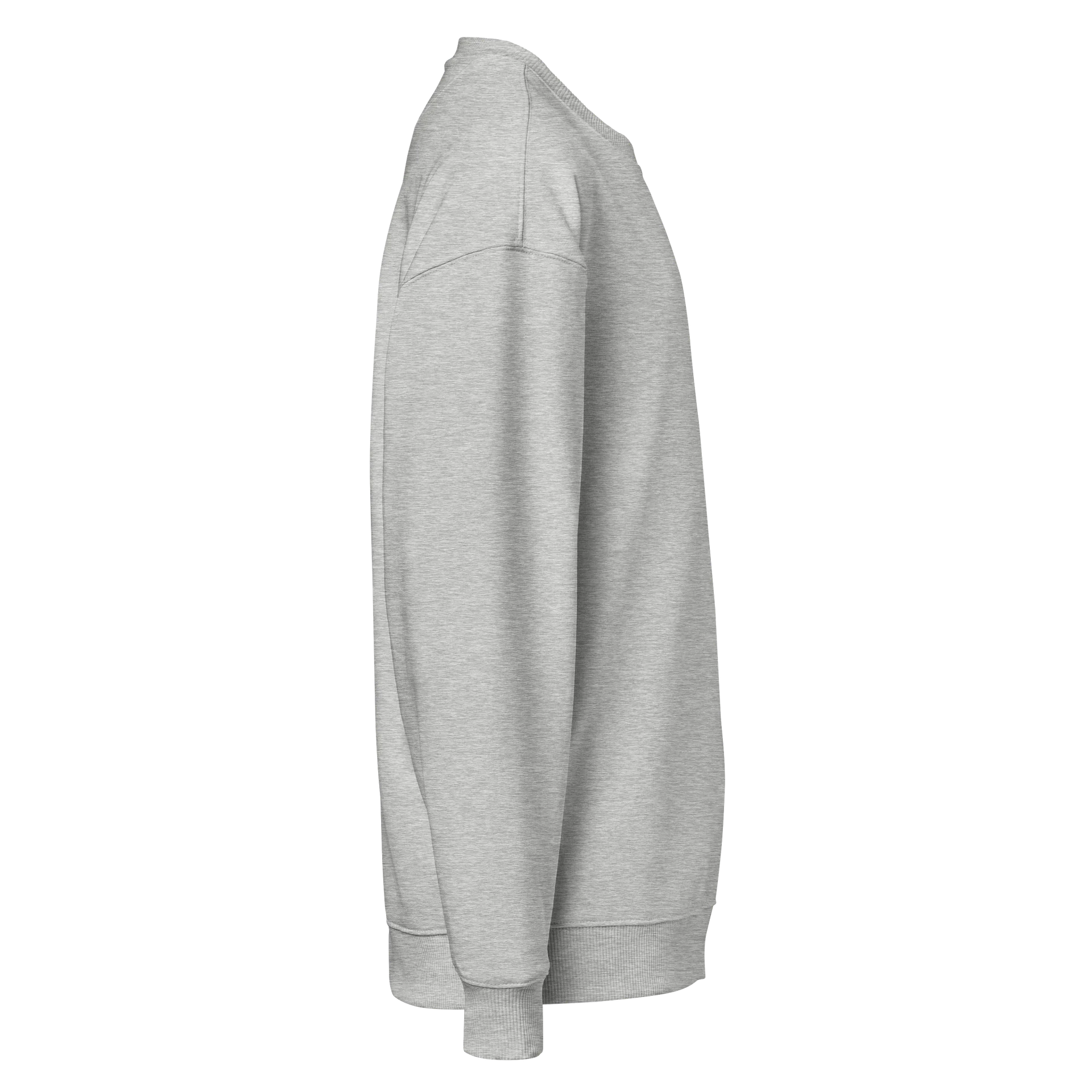 Magic Mind (B&W lined design) organic oversized crewneck product image (4)