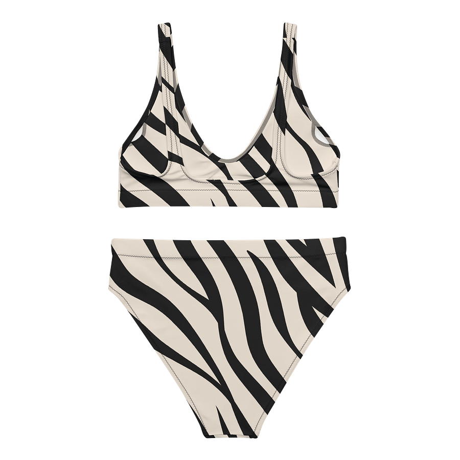 Eco-Chic Zebra Wave Bikini Set product image (6)