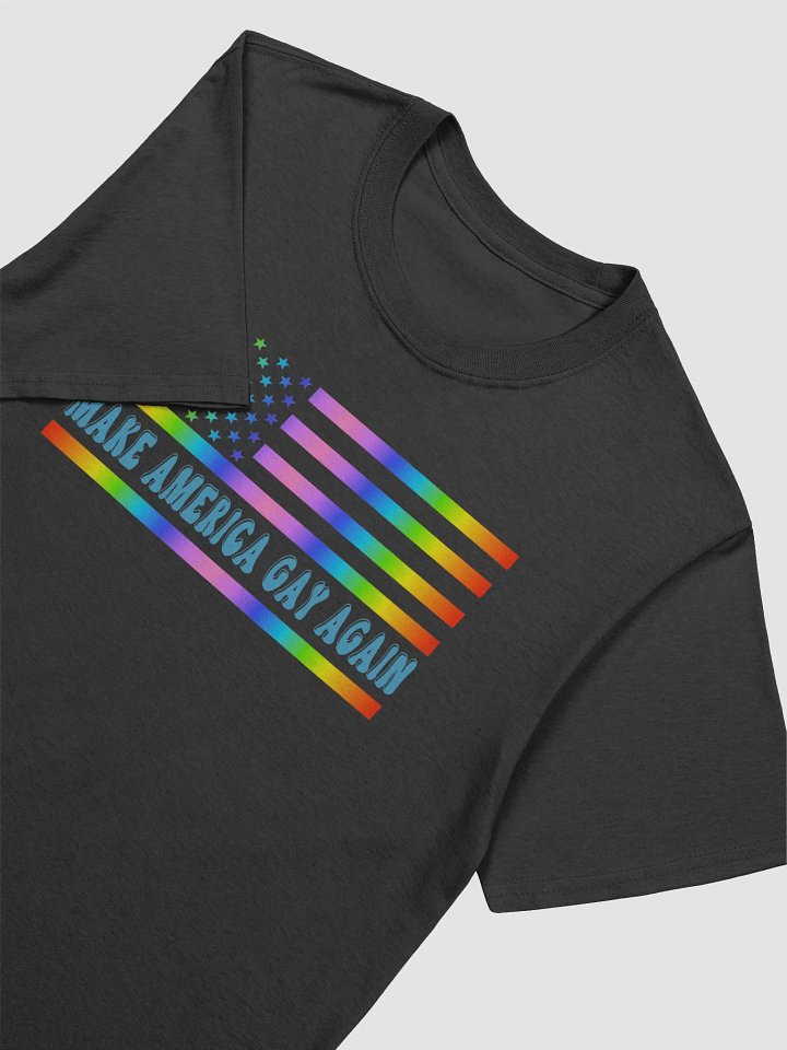 Make America Gay Again product image (2)