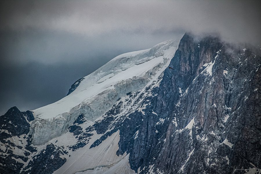 Fine art - The Glacier of La Meije – Majesty of the French Alps product image (1)