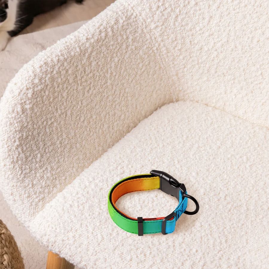 Pride Dog* Collar product image (3)
