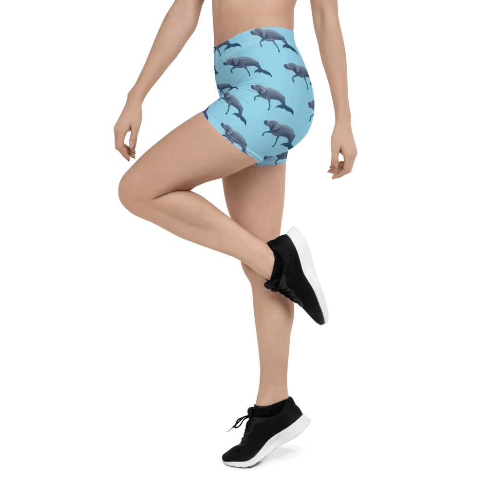 Whalemeriner Shorts product image (4)