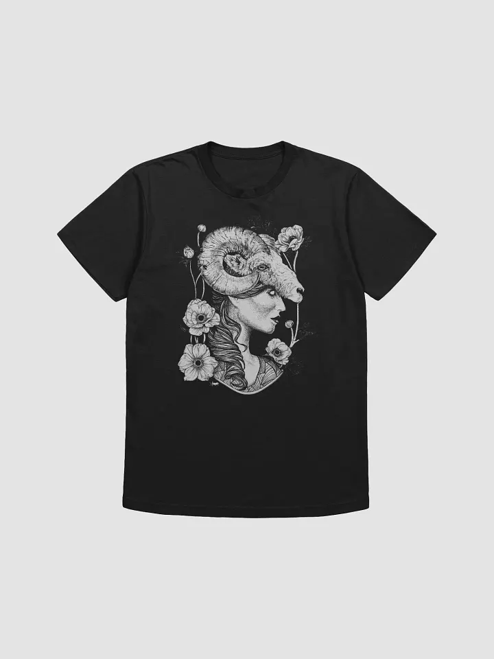 Aries product image (1)