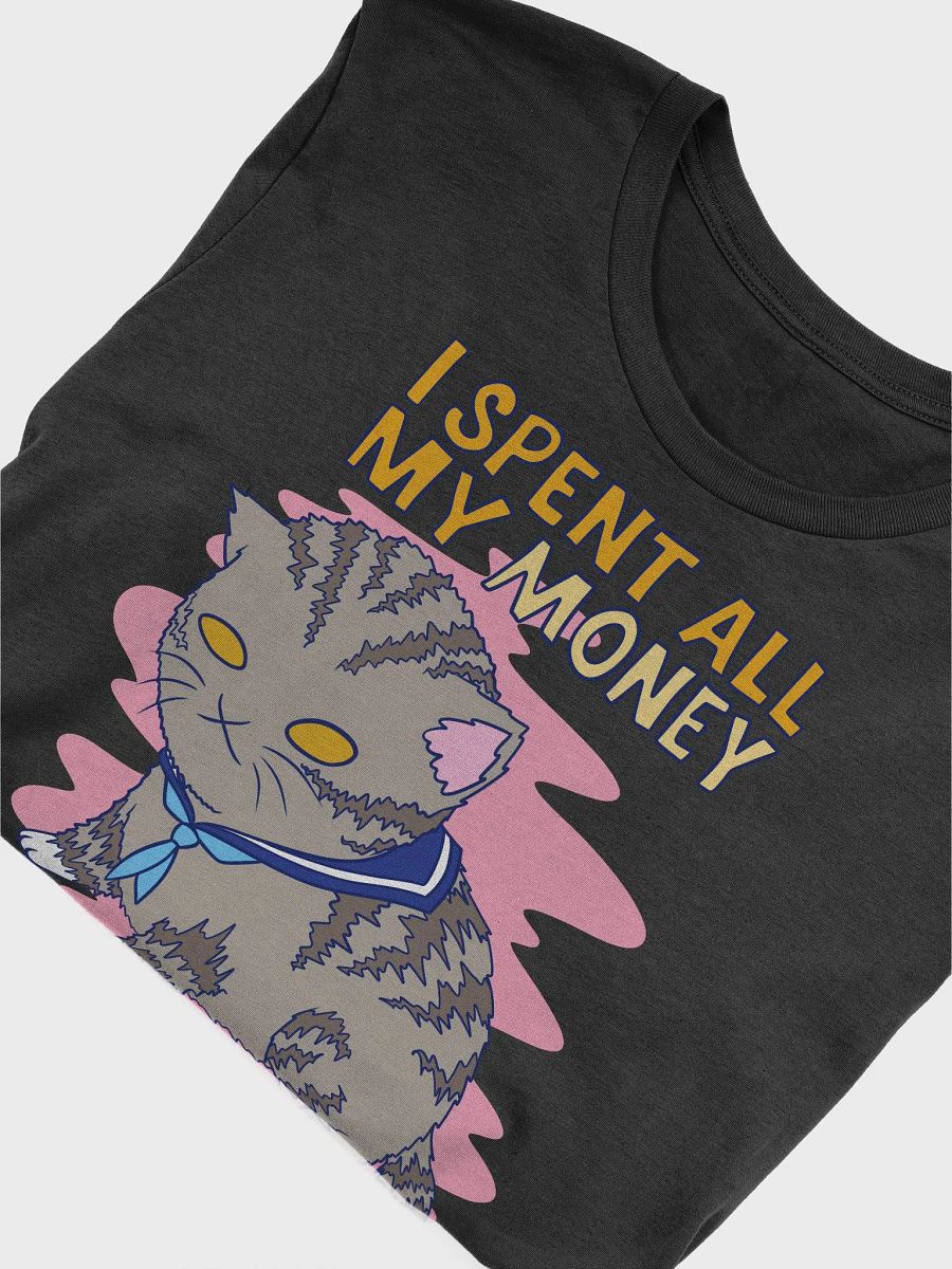 I spent all my money on cosplay T-shirt product image (46)