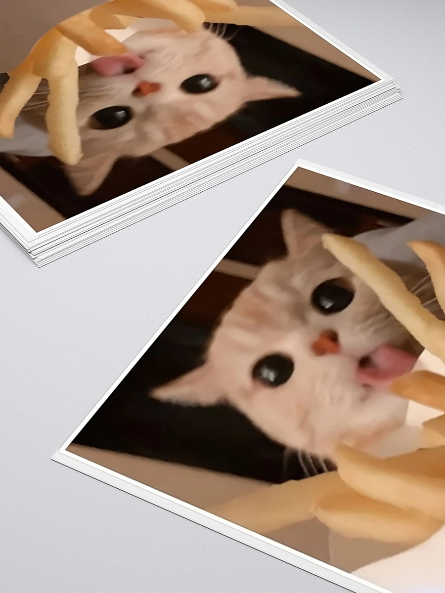 Kiss Cut Stickers: Meme Cats fries product image (4)