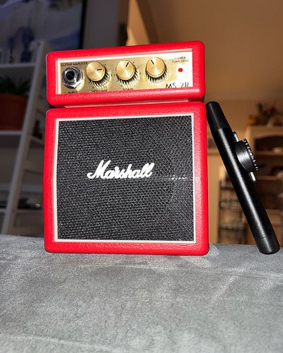 Kazoo + @marshallamps mini = Kazoo Orgy. It’s what I live for. Mastering the harmonious sounds of the timeless kazoo while re...