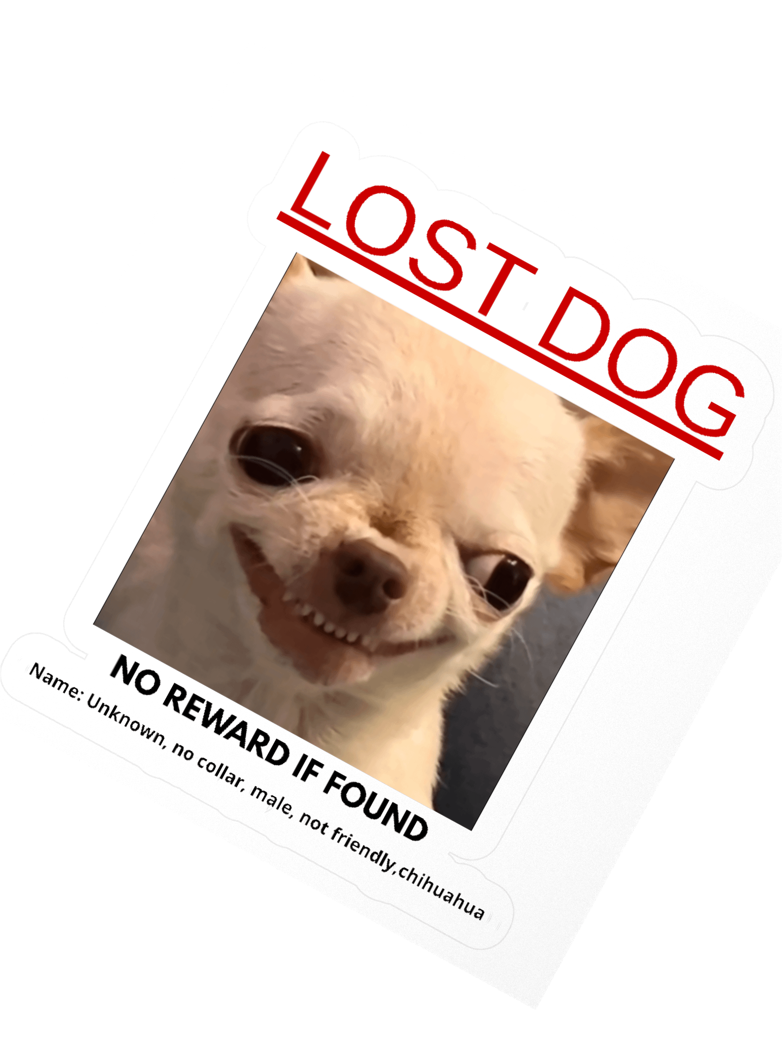 Lost Dog Sticker product image (2)