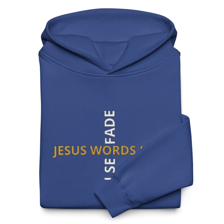 “JESUS IS KING” Hoodie product image (7)