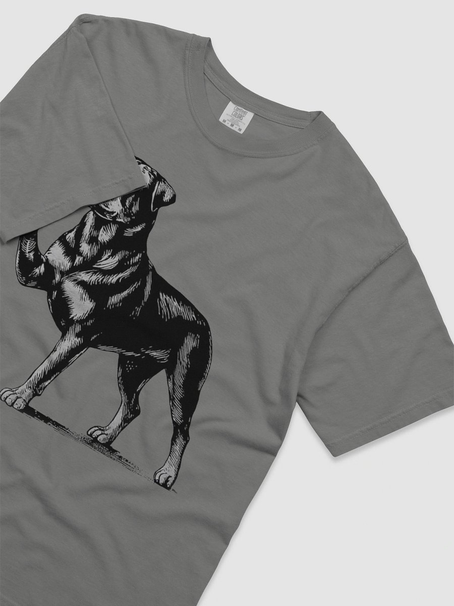 Cool Rottweiler Tee product image (25)
