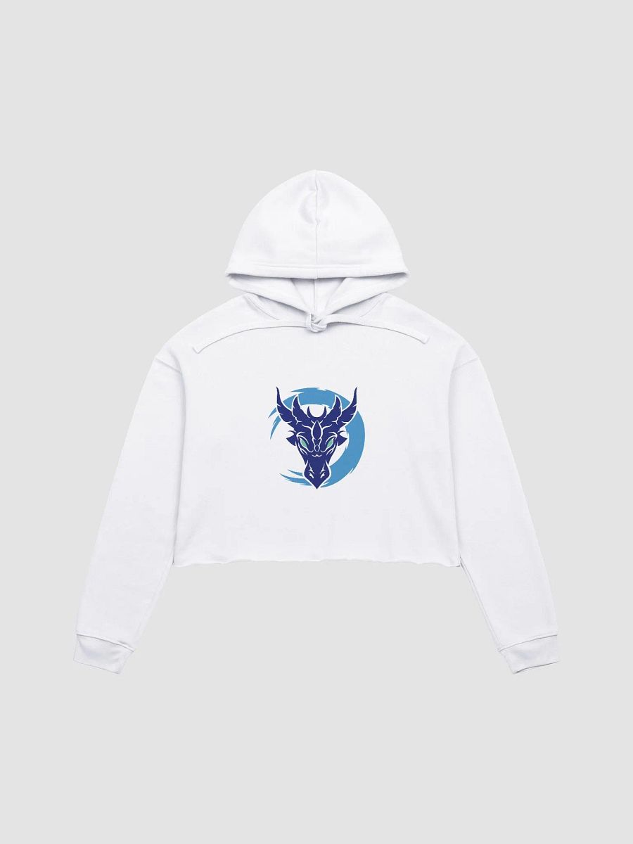 Crop Hoodie - Aerinda Buhrik product image (13)
