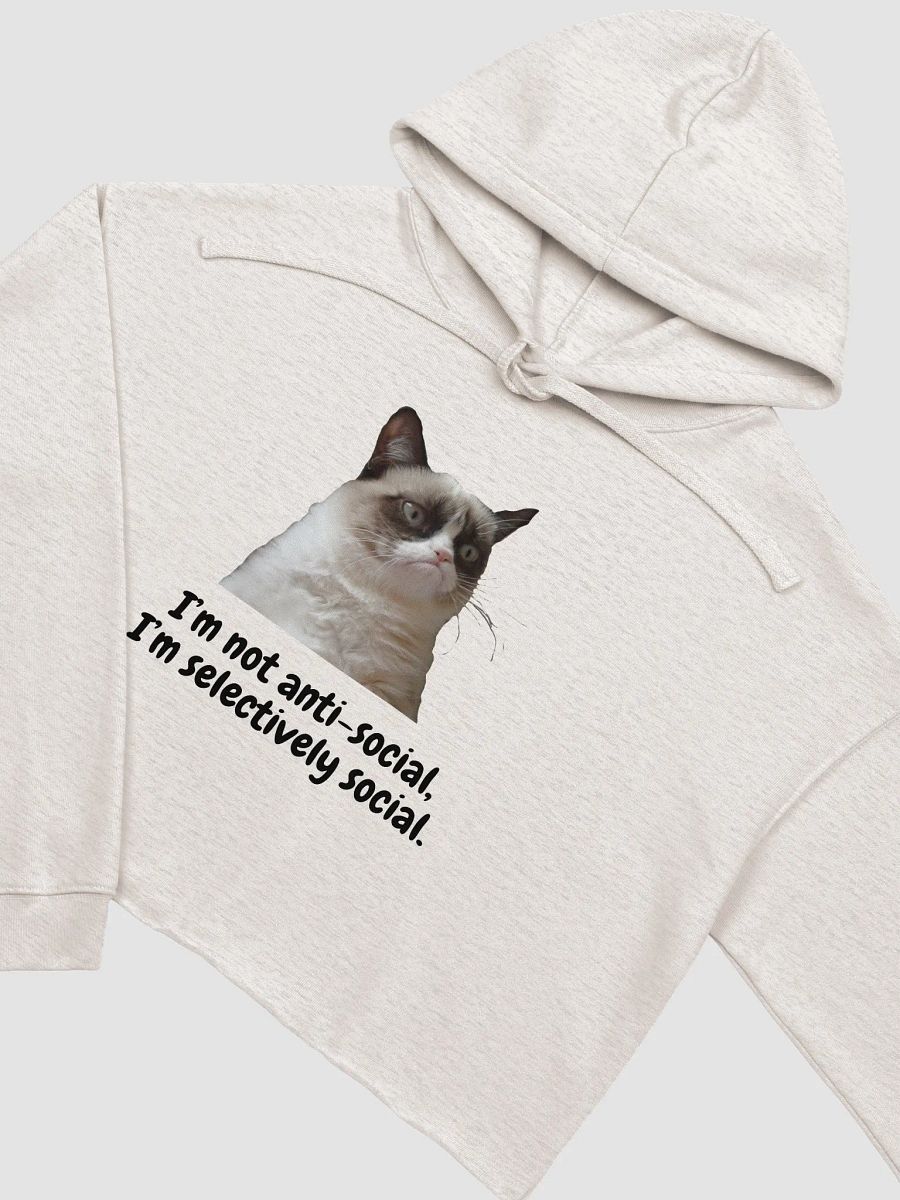 Grumpy Cat Crop Hoodie product image (9)