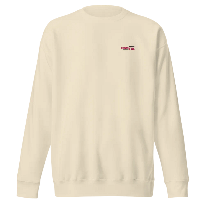 YOUTHFUL Bold Statement Sweatshirt product image (1)