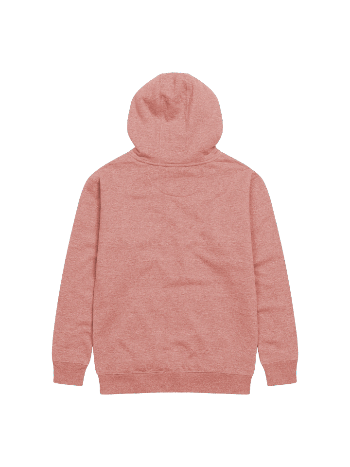 Rain's Pride & Joy Hoodie product image (18)