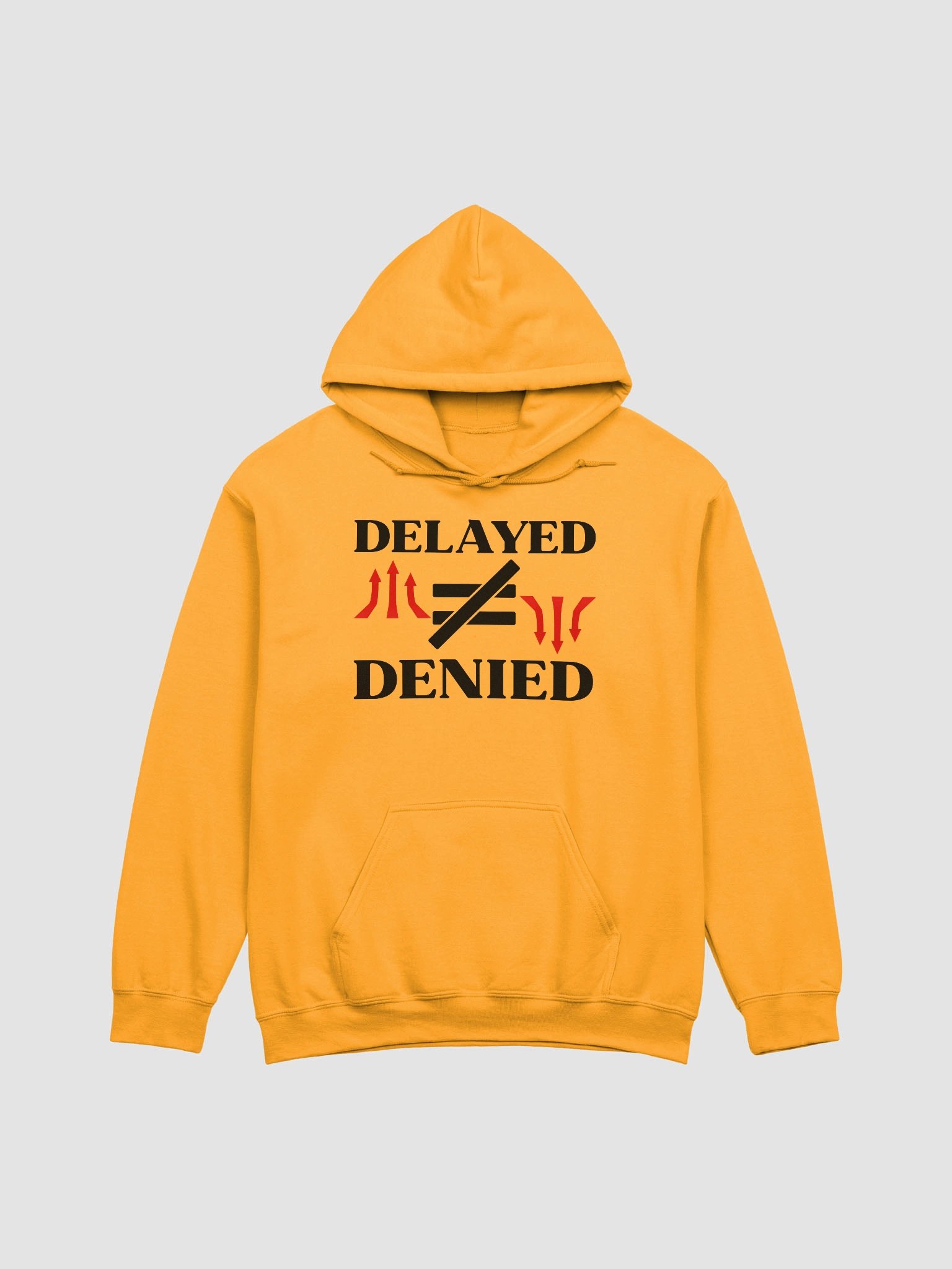 Delayed Not Denied Gildan Hoodie product image (12)
