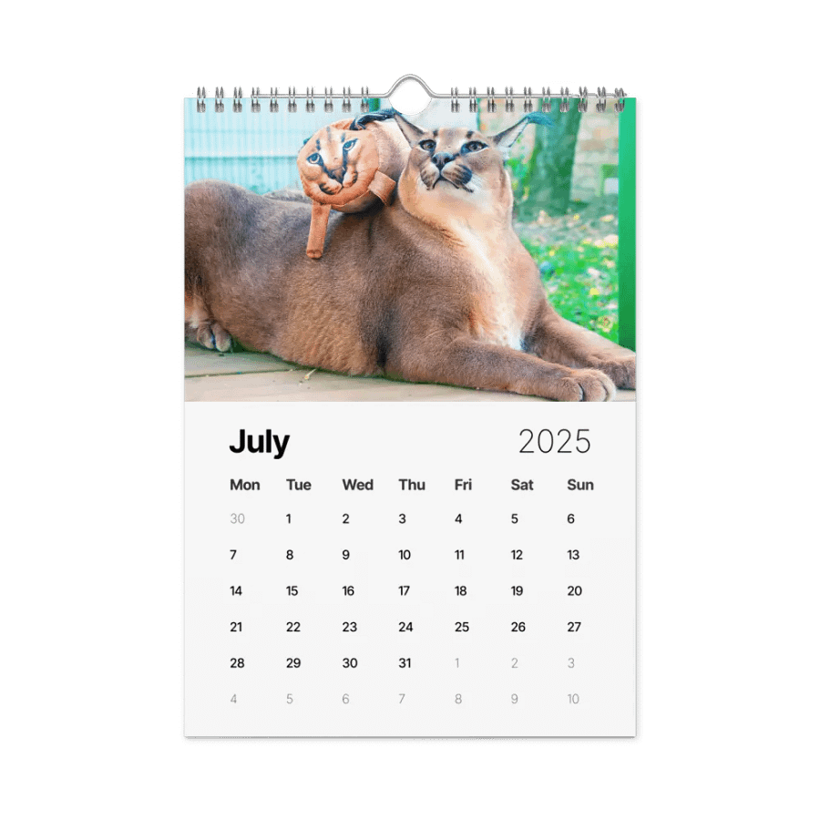 FLOPPA CALENDAR FOR 2025 product image (8)