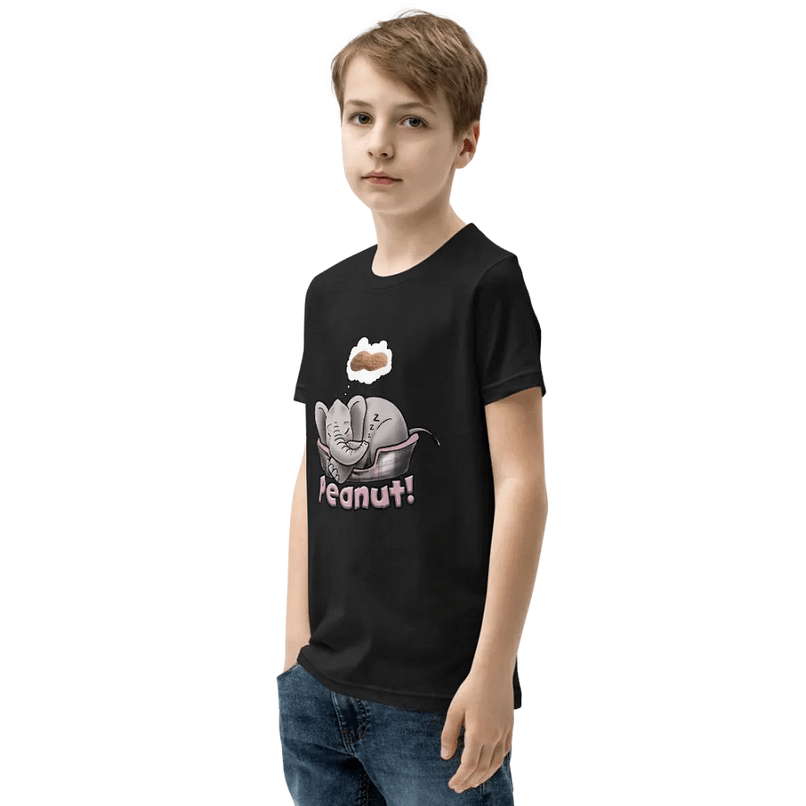 Sleepy Peanut - SFA Youth T-Shirt product image (5)